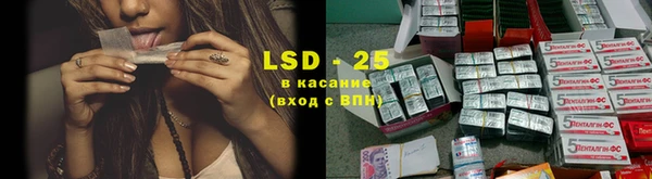 таблы Бородино