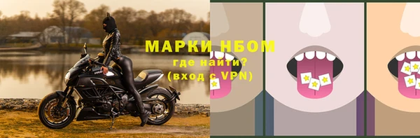 таблы Бородино