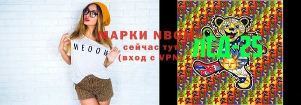 таблы Бородино