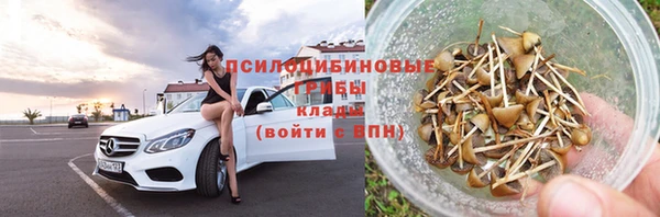 таблы Бородино