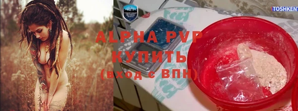 таблы Бородино