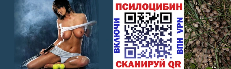 Псилоцибиновые грибы мицелий  Муром 